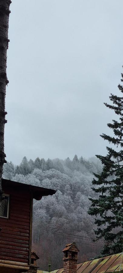 Sophie Apart Belleview Sinaia Kültér fotó