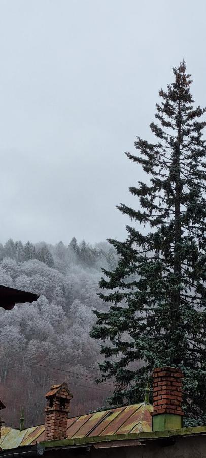 Sophie Apart Belleview Sinaia Kültér fotó